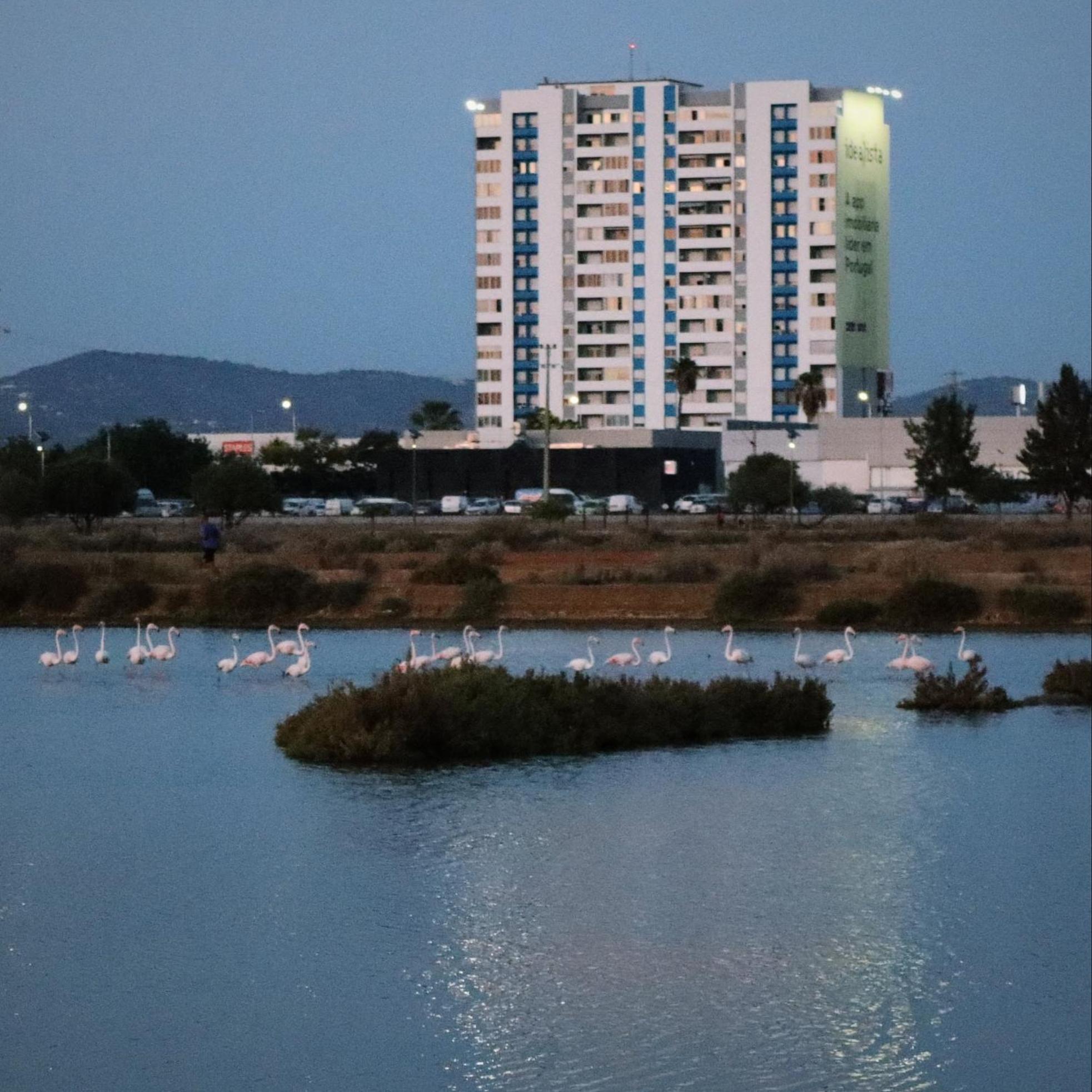 Sea View Apartment 파로 외부 사진
